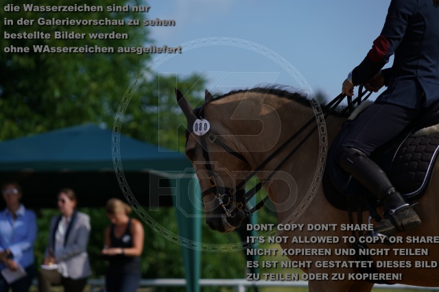 s_K3F05511.JPG